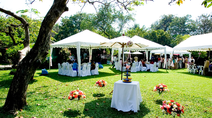 Tips for Planning around Seasonal Allergies