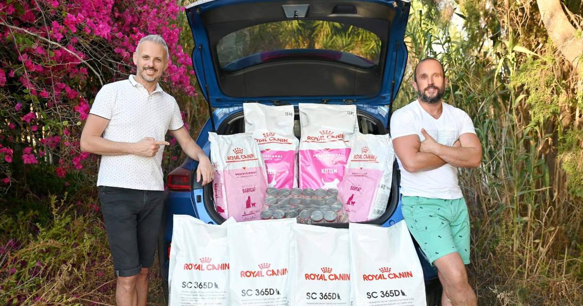 Dorian Cassar and fiancé Paul Camilleri to donate cat food instead of